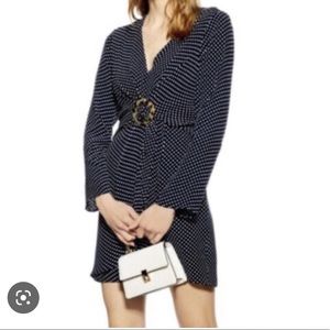 Topshop Poka Dot Dress